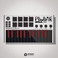 PAJANE - DNA (Extended Mix)