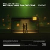 Melli & Radioclouds - Never Gonna Say Goodbye
