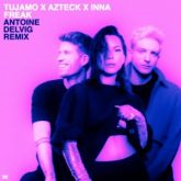 Tujamo x Azteck x INNA - Freak (Antoine Delvig Extended Remix)