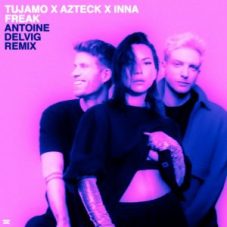 Tujamo x Azteck x INNA - Freak (Antoine Delvig Extended Remix)