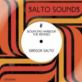 Gregor Salto - Bouncing Harbour (Hardwell and R3hab Radio Edit)