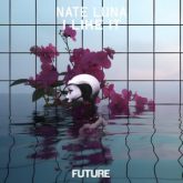 NATE LUNA - I Like It (Extended Mix)