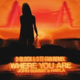 John Summit feat. Hayla - Where you Are (D-Block & S-te-Fan Remix)