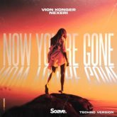 Vion Konger & Nexeri - Now You're Gone (Techno Version)