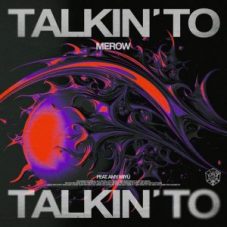 Merow feat. AMY MIYÚ - Talkin' To