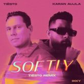 Karan Aujla & Ikky - Softly (Tiësto Remix)