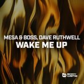 Mesa & Boss, Dave Ruthwell - Wake Me Up