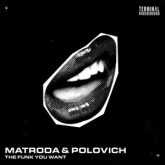 Matroda & POLOVICH - The Funk You Want (Original Mix)