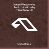Steven Weston & Arctic Lake & Bailey - If You Know Me (Qrion Remix)