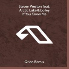 Steven Weston & Arctic Lake & Bailey - If You Know Me (Qrion Remix)