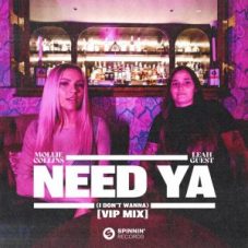 Mollie Collins & Leah Guest - Need Ya (I Don't Wanna) [VIP Mix]