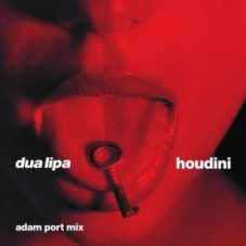 Dua Lipa - Houdini (Adam Port Mix)