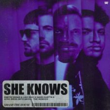 Dimitri Vegas & Like Mike x David Guetta x Afro Bros with Akon - She Knows (Melsen Remix)