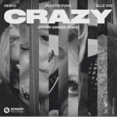 NERVO, Plastik Funk & Elle Vee - Crazy (ASHER SWISSA Remix)