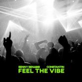 Benny Benassi & Constantin - Feel The Vibe
