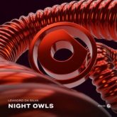Leandro Da Silva - Night Owls (Extended Mix)