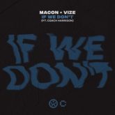 Macon & VIZE - If We Don't (feat. Coach Harrison)