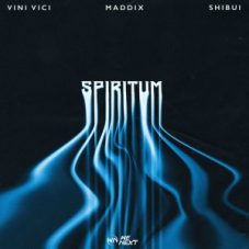 Vini Vici, Maddix & Shibui - Spiritum (Extended Mix)