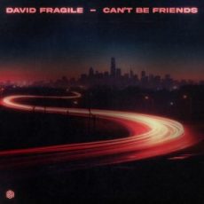 David Fragile - Can't Be Friends (Extended Mix)