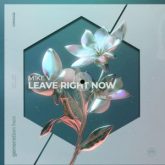 M!KE V - Leave Right Now (Extended Mix)