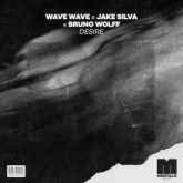 Wave Wave x Jake Silva x Bruno Wolff - Desire