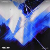 Rob Laniado - Vibing (Extended Mix)