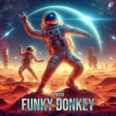 Ephesto - Funky Donkey