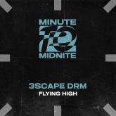 3SCAPE DRM - Flying High (Extended Mix)
