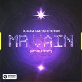 DJ Kuba & Neitan x Terri B! - Mr. Vain (with DJ Terry)