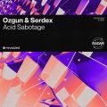 Ozgun & Serdex - Acid Sabotage