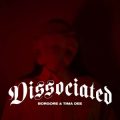 Borgore & Tima Dee - DISSOCIATED