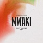 ZERB & Sofiya Nzau - Mwaki (Timmy Trumpet Remix)