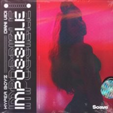 HYPER BOYZ & Dani Vidi - Impossible (Extended Mix)