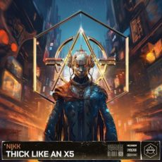Nikk - Thick like an X5 (Extended Mix)