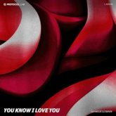 La Vague & EWAVE - You Know I Love You (Extended Mix)