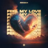 RRIDAH - Feel My Love (Extended Mix)