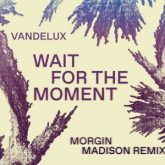 Vandelux & BUZZ - Wait For The Moment (Morgin Madison Remix)