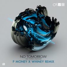 Camo & Krooked x Mefjus feat. Sophie Lindinger - No Tomorrow (P Money X Whiney Remix)
