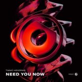 Timmo Hendriks - Need You Now (Extended Mix)