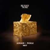 ACRAZE x Pickle & NKY - Runny Nose (Extended Mix)