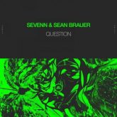Sevenn & Sean Brauer - QUestion