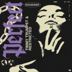 Timmy Trumpet & Restricted - Perfect (Exceeder) (Extended Mix)