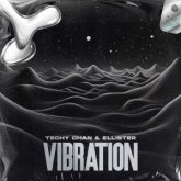 Techy Chan & Ellister - Vibration (Extended Mix)