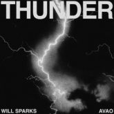 Will Sparks & Avao - Thunder (Extended Mix)