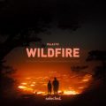 PALASTIC - Wildfire (Extended Mix)