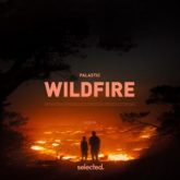 PALASTIC - Wildfire (Extended Mix)