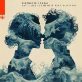 Elephante & Sabai - Say It Like You Mean It (feat. Olivia Ray)