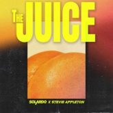 Solardo x Stevie Appleton - The Juice (Extended Mix)