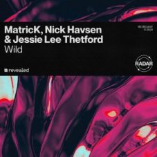 Nick Havsen & Matrick feat. Jessie Lee Thetford - Wild (Extended Mix)