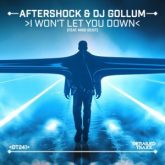 Aftershock & DJ Gollum - I Won't Let You Down (feat. Miss Geist)